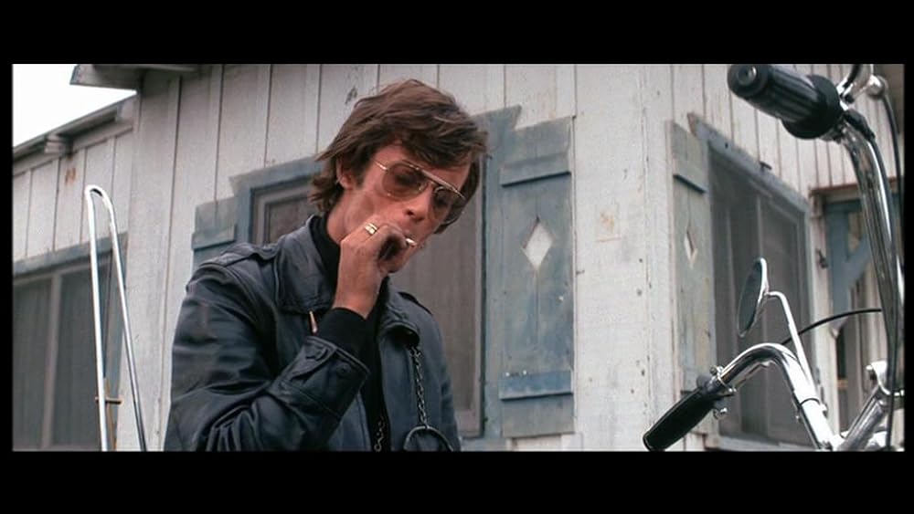 ワイルド・エンジェルの画像