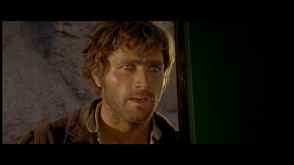 裏切りの荒野の画像