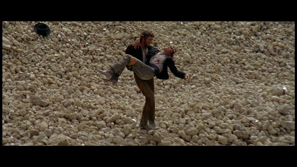 裏切りの荒野の画像