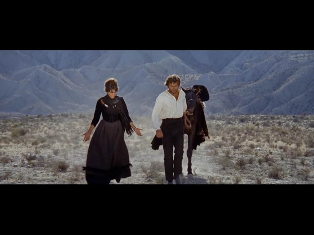 裏切りの荒野の画像