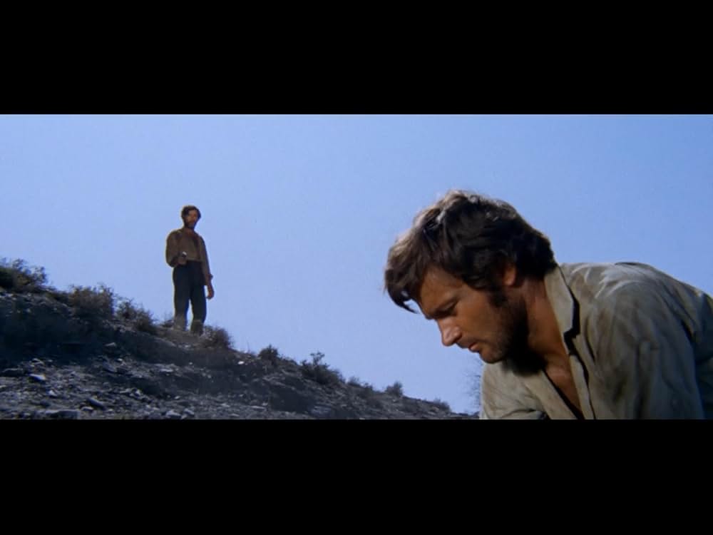 裏切りの荒野の画像