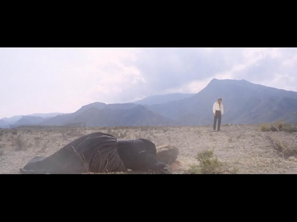 裏切りの荒野の画像