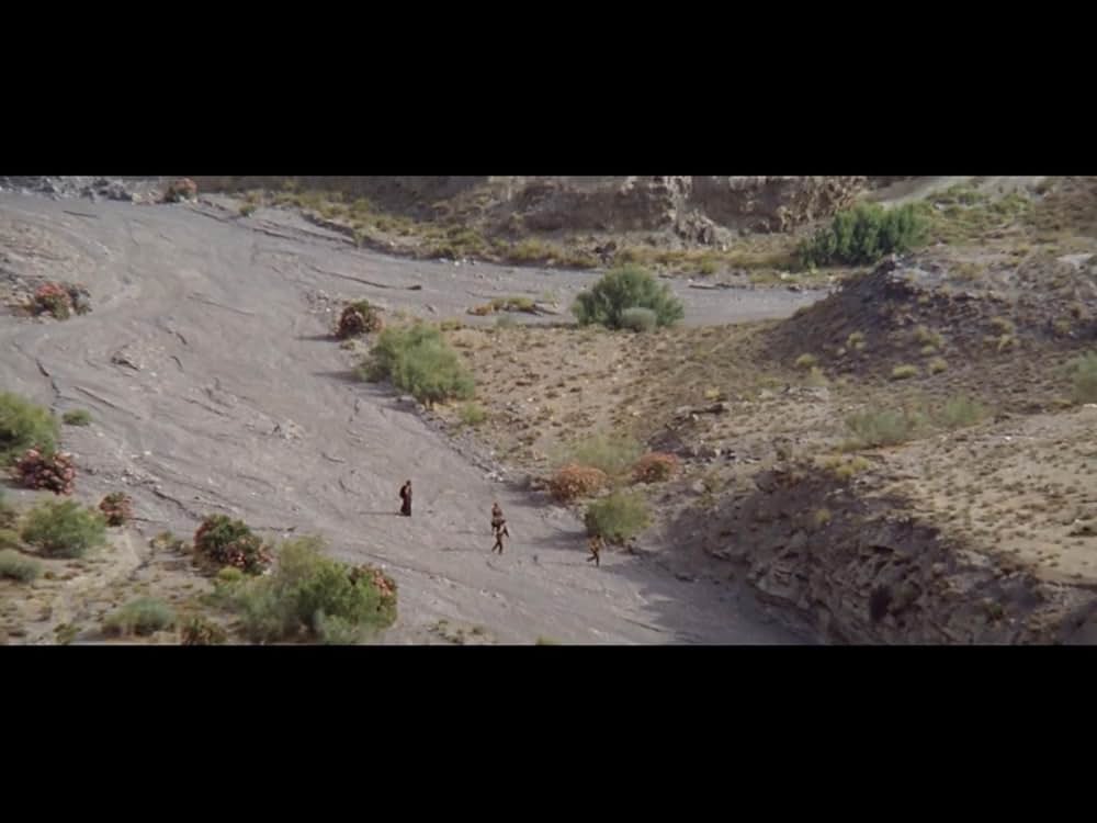 裏切りの荒野の画像