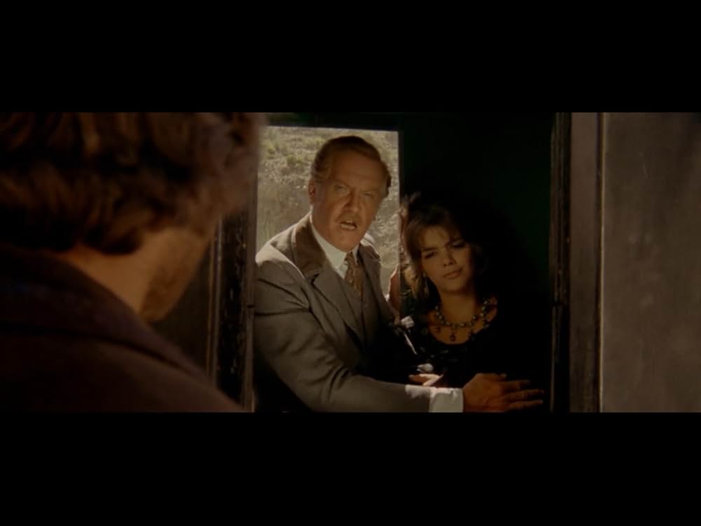 裏切りの荒野の画像