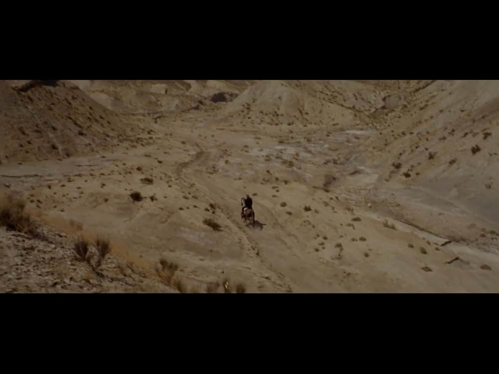 裏切りの荒野の画像