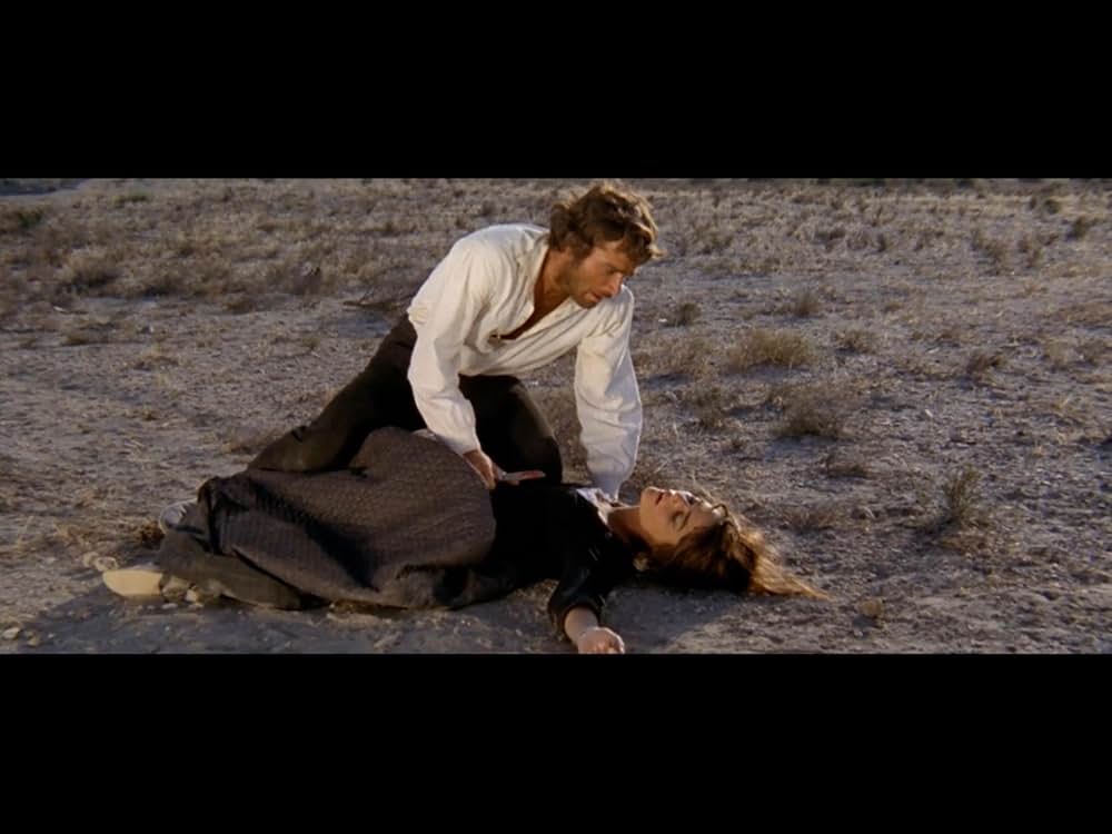 裏切りの荒野の画像