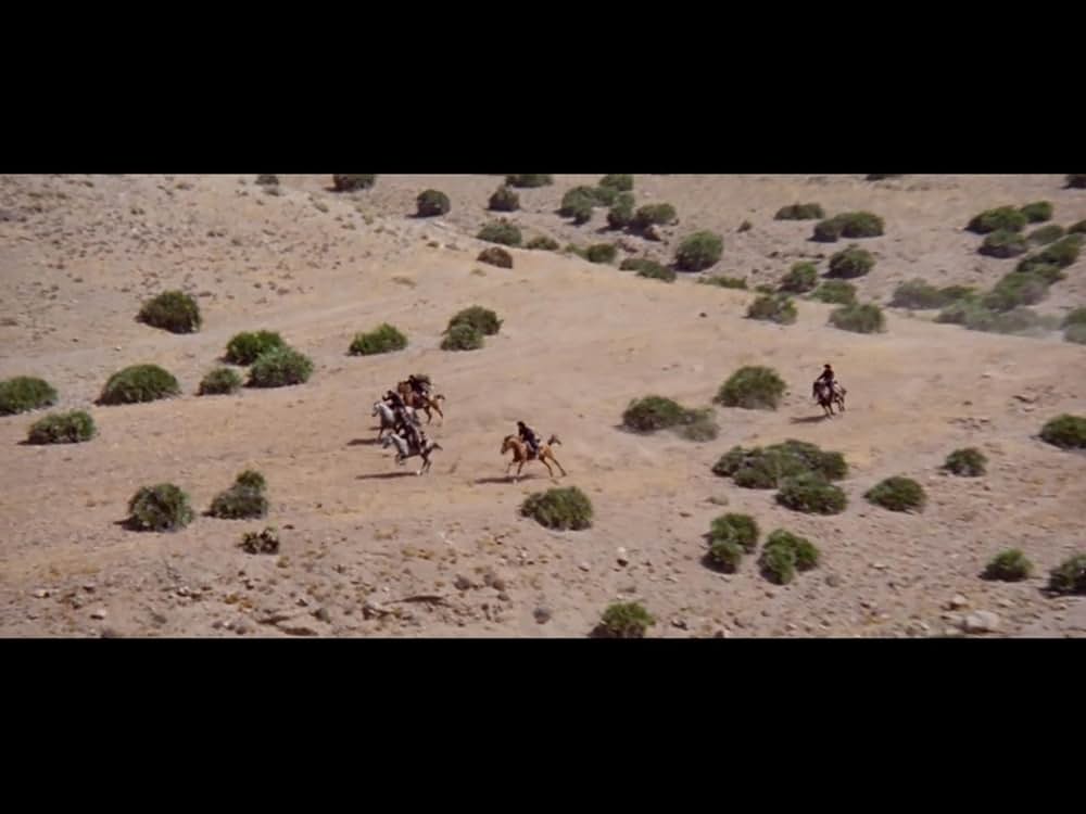 裏切りの荒野の画像