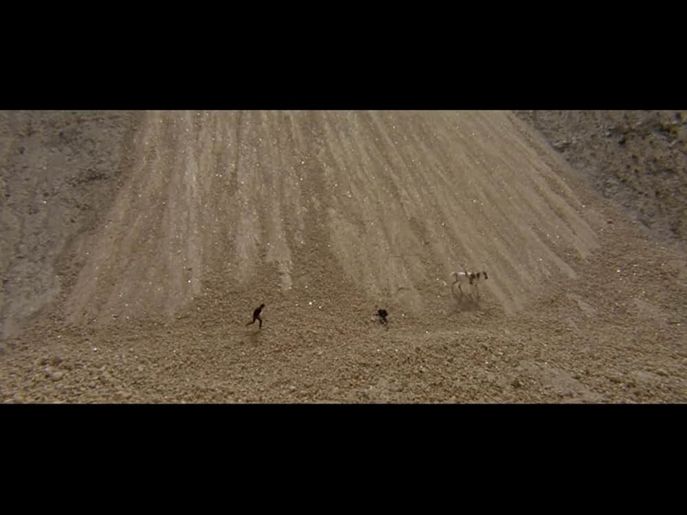 裏切りの荒野の画像