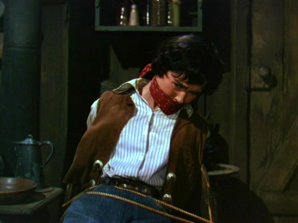 抜き射ち二挺拳銃の画像