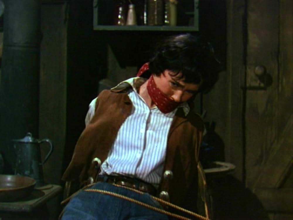 抜き射ち二挺拳銃の画像