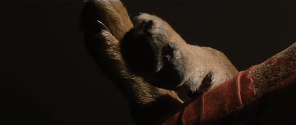 グリーンバーグ／ベン・スティラー 人生は最悪だ！の画像