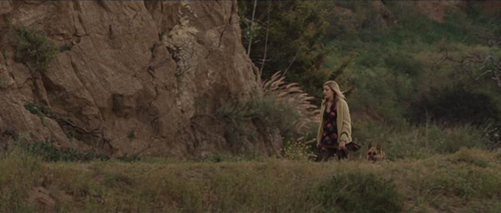 グリーンバーグ／ベン・スティラー 人生は最悪だ！の画像