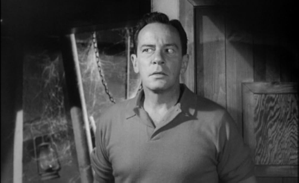 空飛ぶ生首の画像