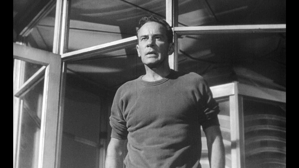 空飛ぶ生首の画像