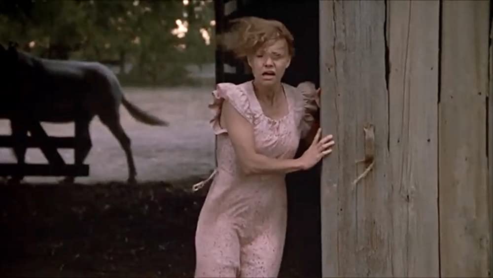 プレイス・イン・ザ・ハートの画像