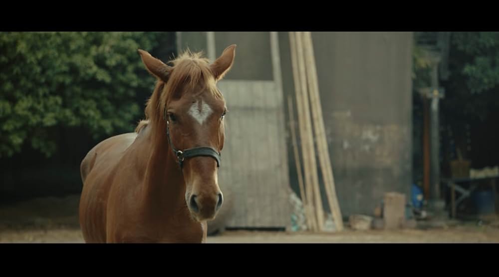 ライド・オンの画像