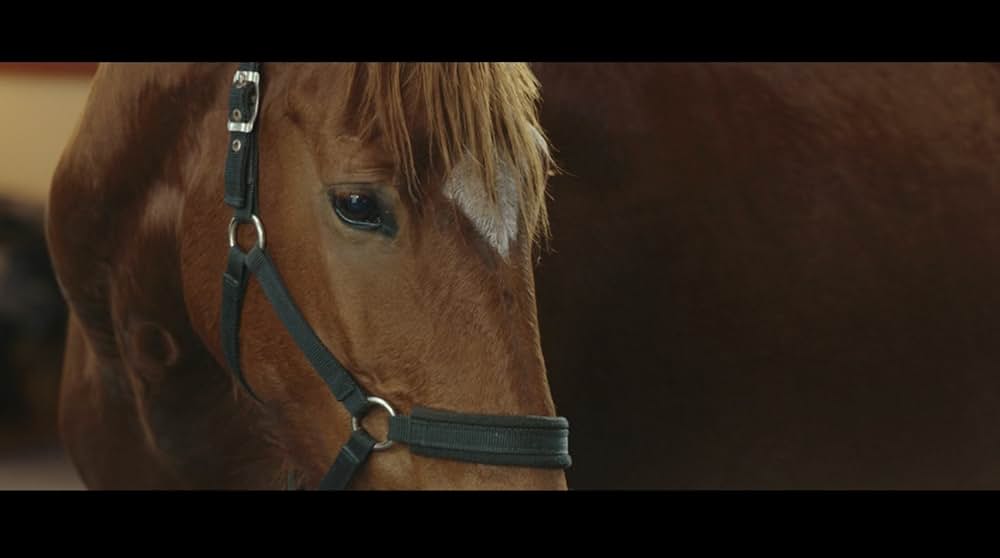 ライド・オンの画像