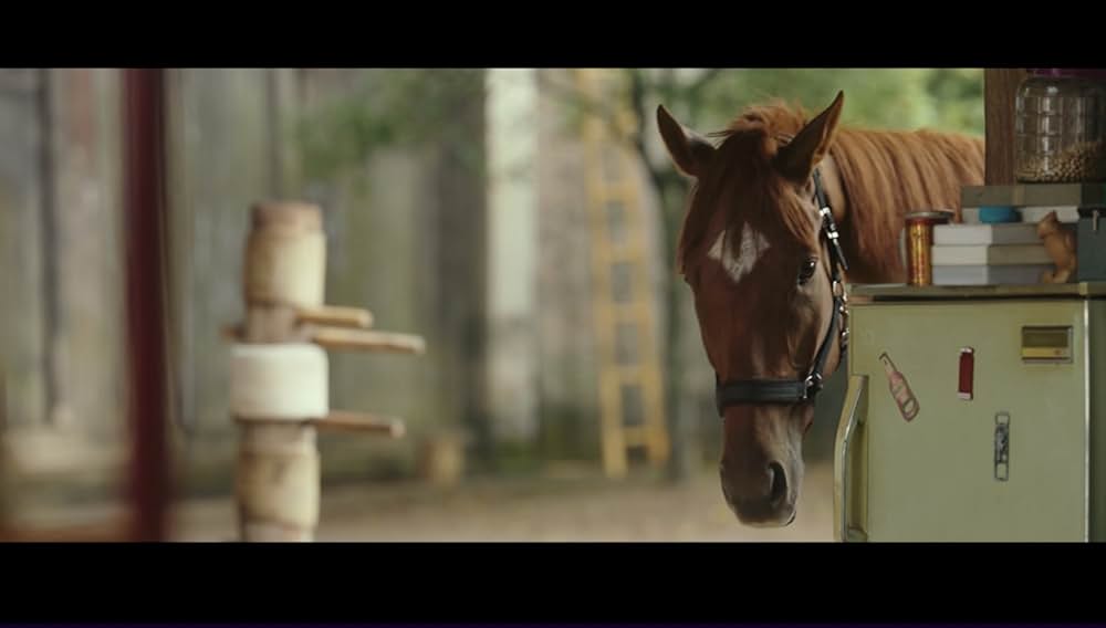 ライド・オンの画像