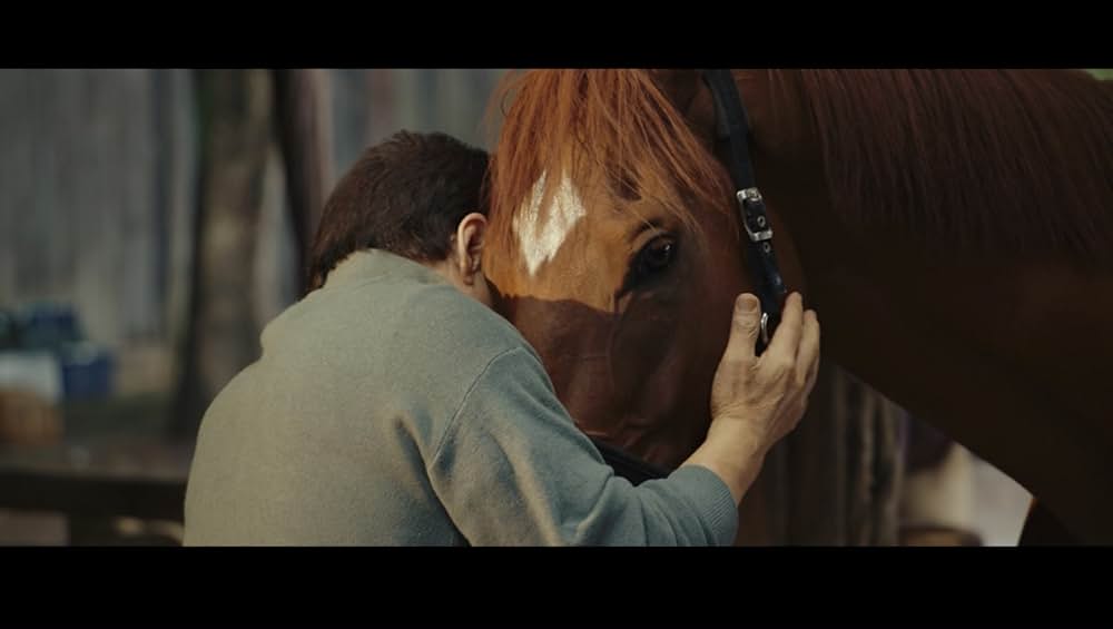 ライド・オンの画像