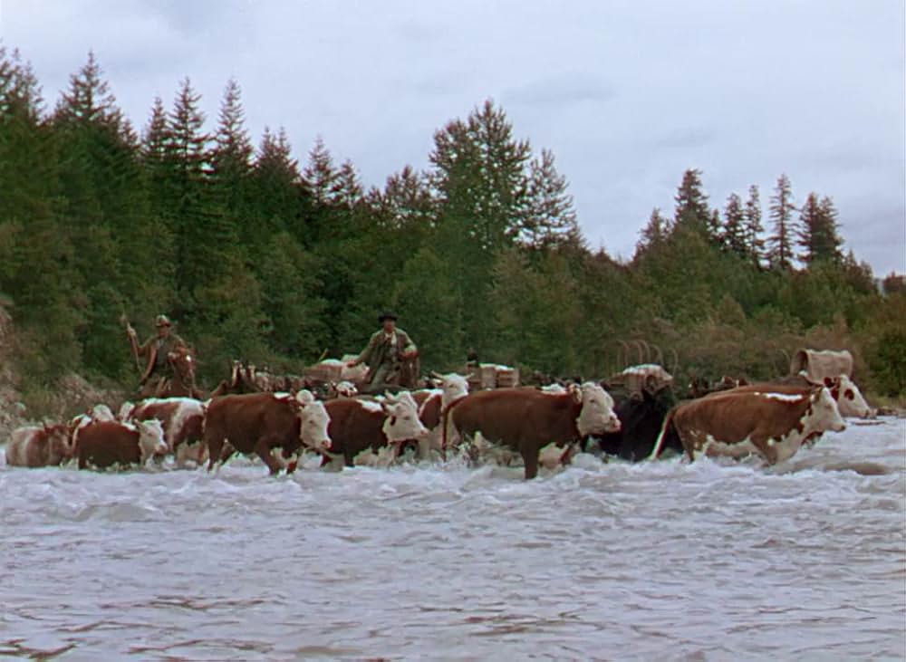 怒りの河の画像