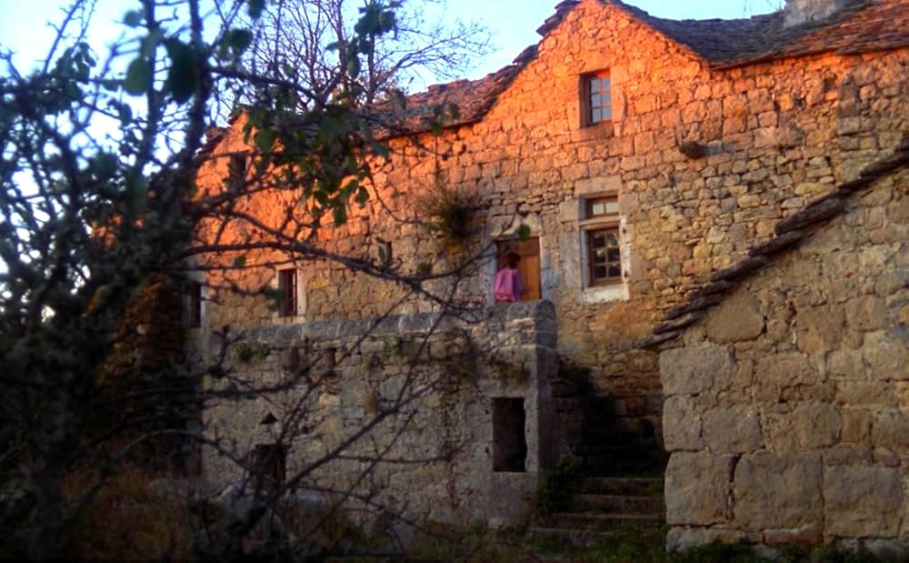 殺戮謝肉祭／屍肉の晩餐の画像