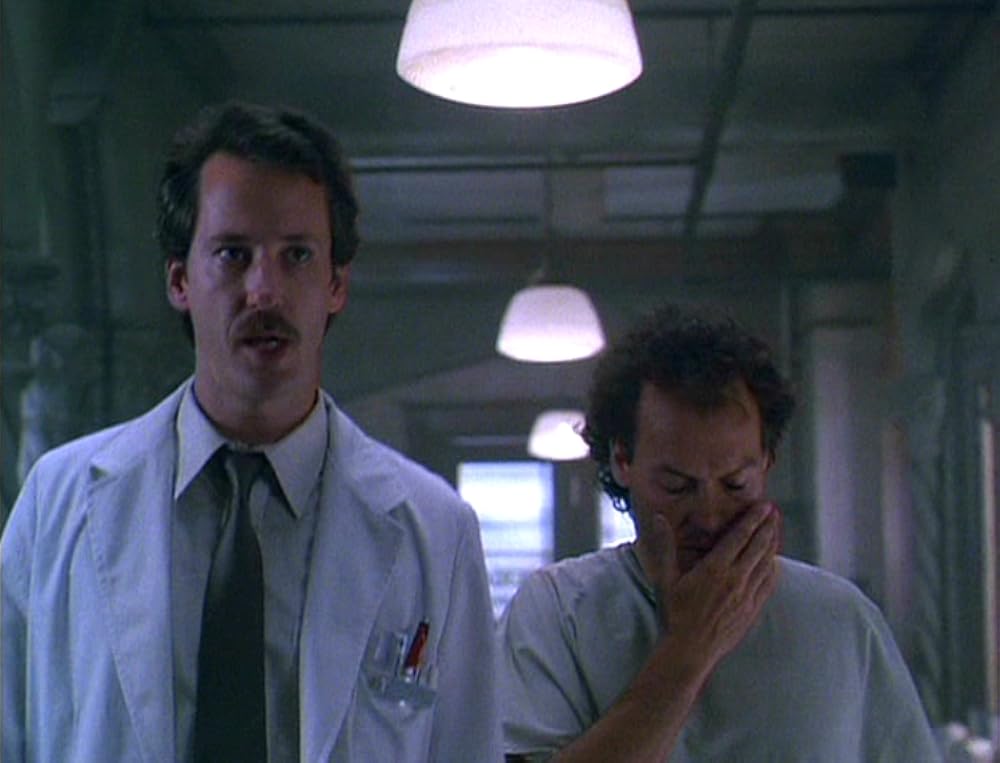 偽りのヘブンの画像