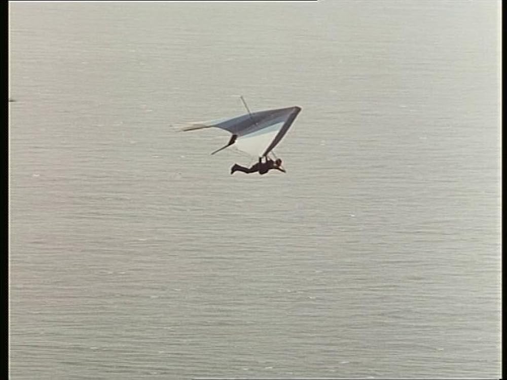 ブラック・イーグルの画像