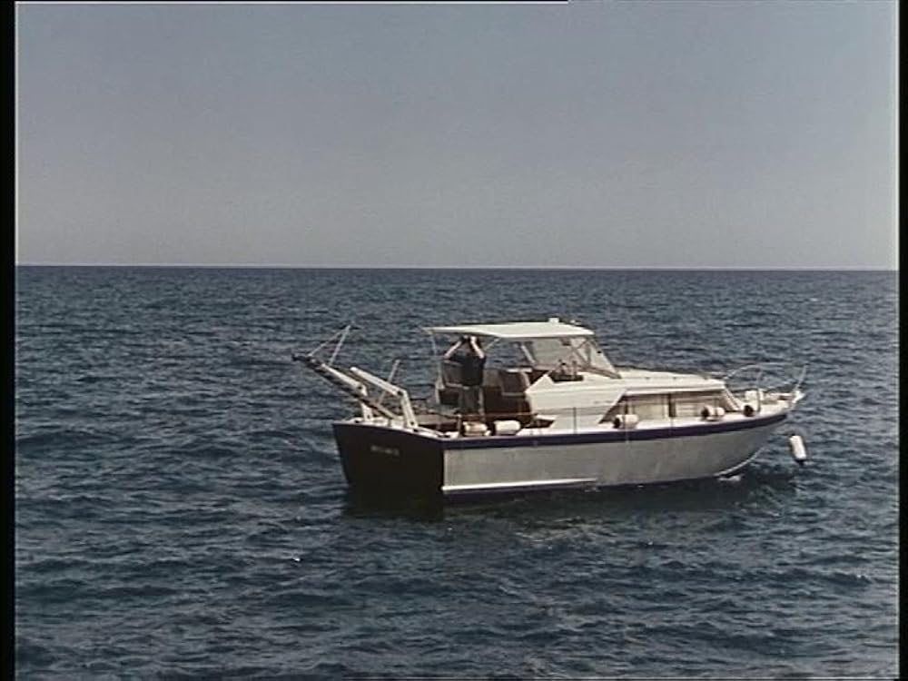 ブラック・イーグルの画像