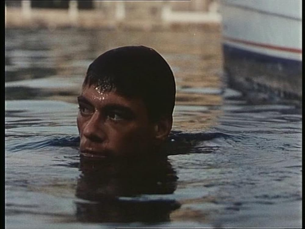 ブラック・イーグルの画像