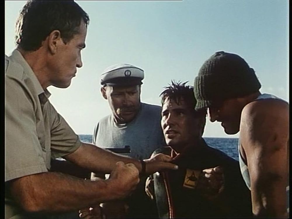 ブラック・イーグルの画像