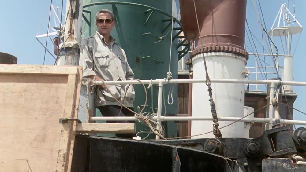 ブラック・イーグルの画像