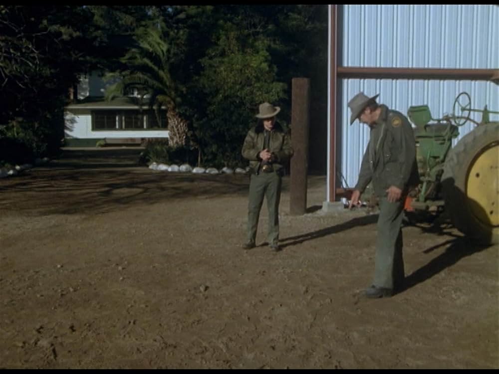 ボーダーラインの画像