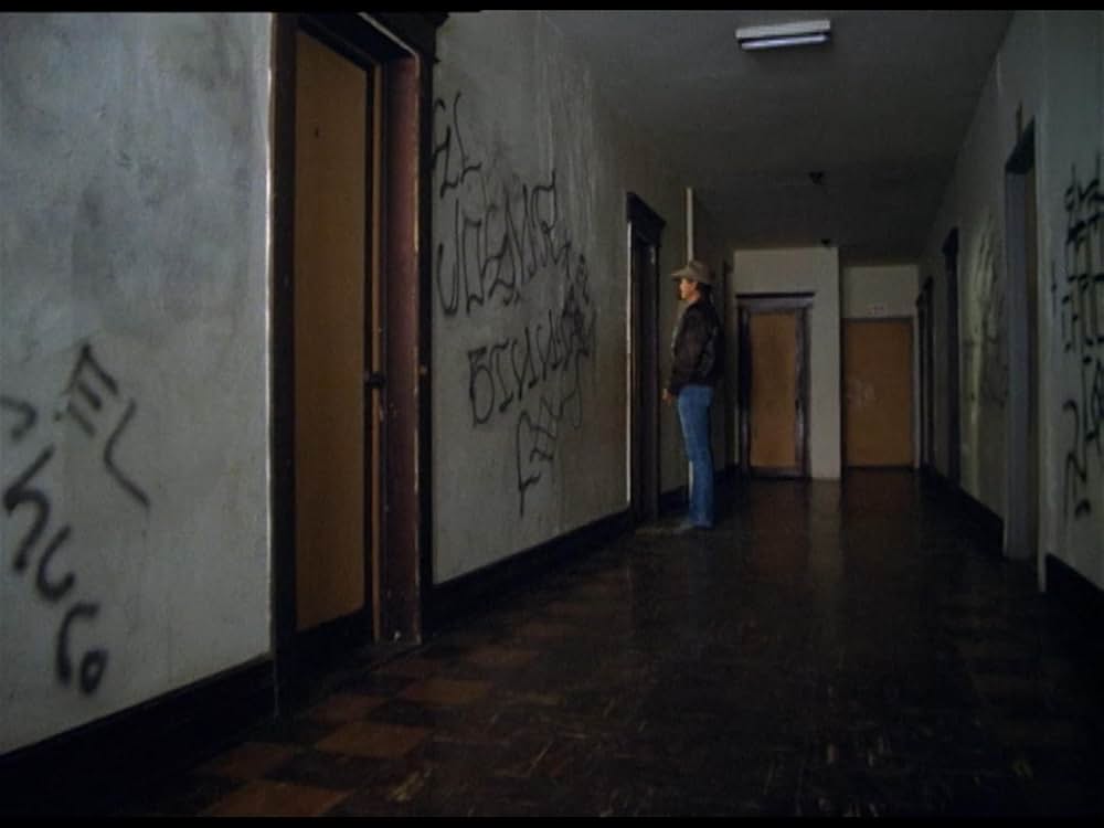 ボーダーラインの画像