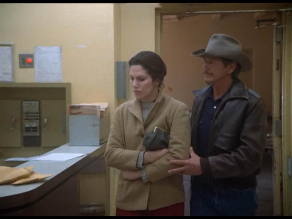 ボーダーラインの画像