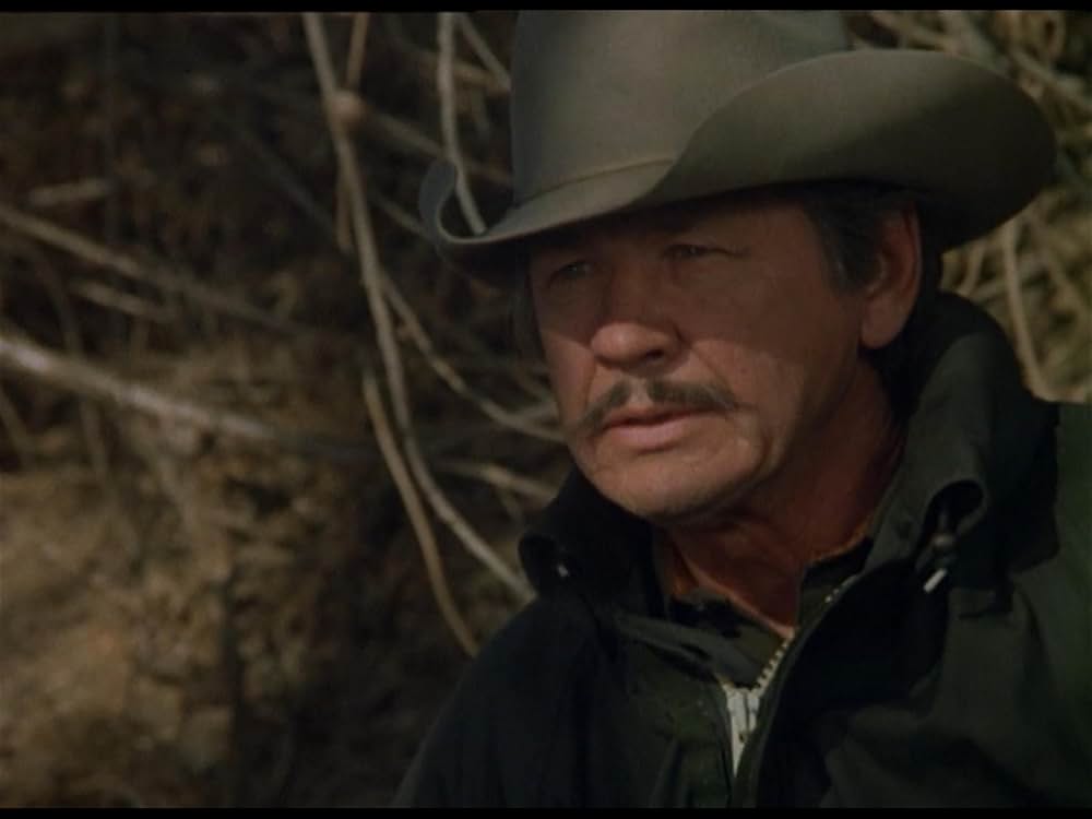 ボーダーラインの画像