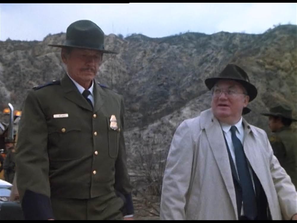 ボーダーラインの画像