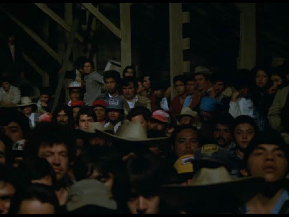 ボーダーラインの画像