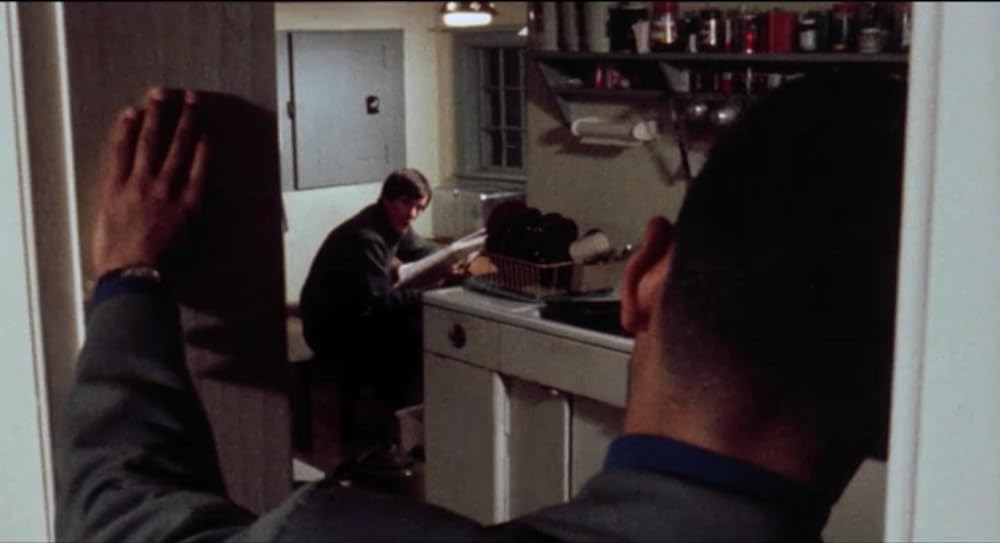 突然の訪問者の画像