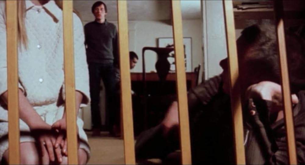 突然の訪問者の画像