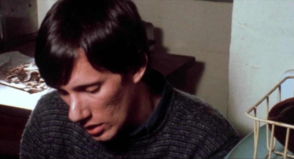 突然の訪問者の画像