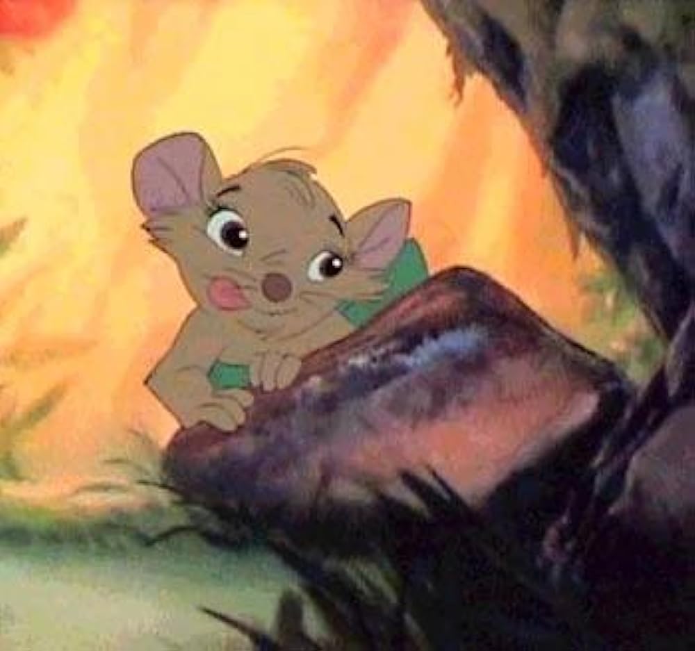 ニムの秘密の画像