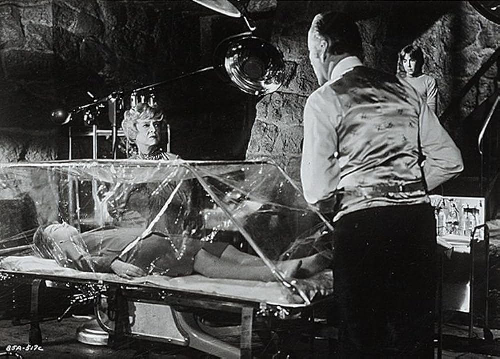 続・星の国から来た仲間の画像