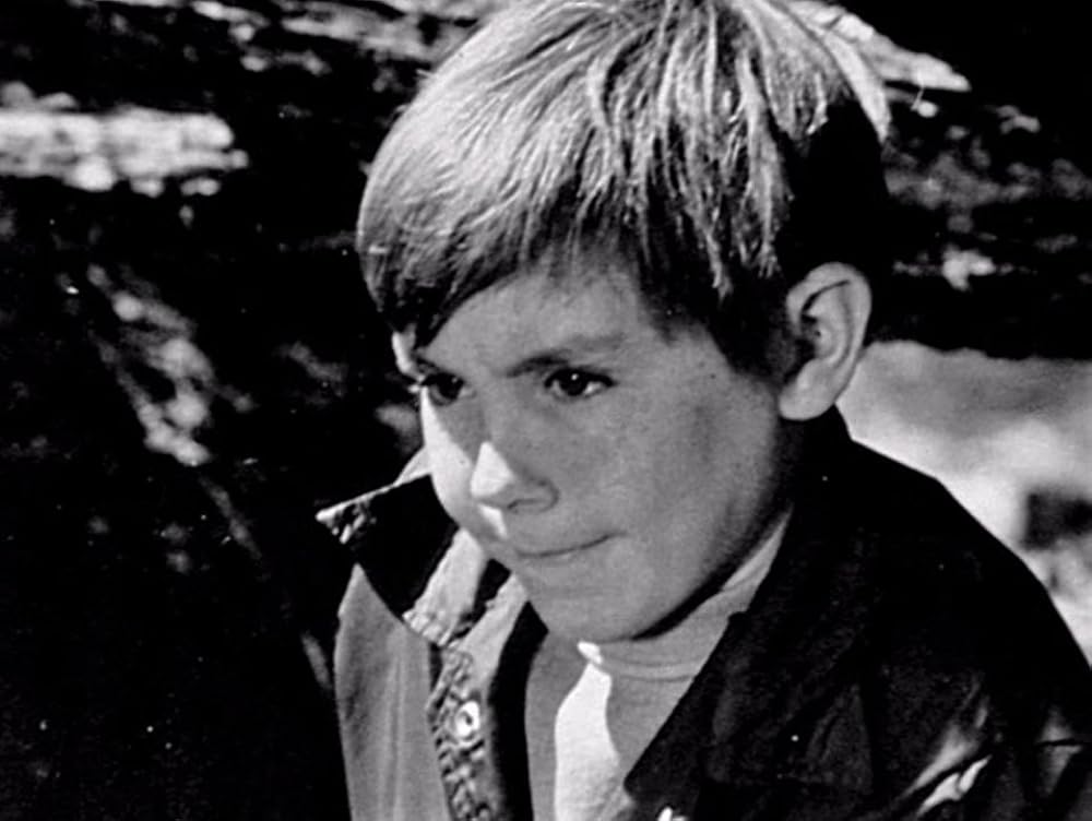 星の国から来た仲間の画像