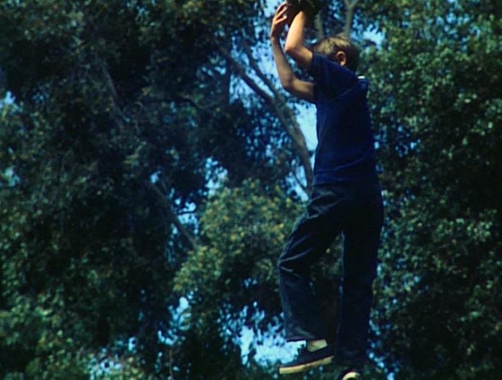 星の国から来た仲間の画像