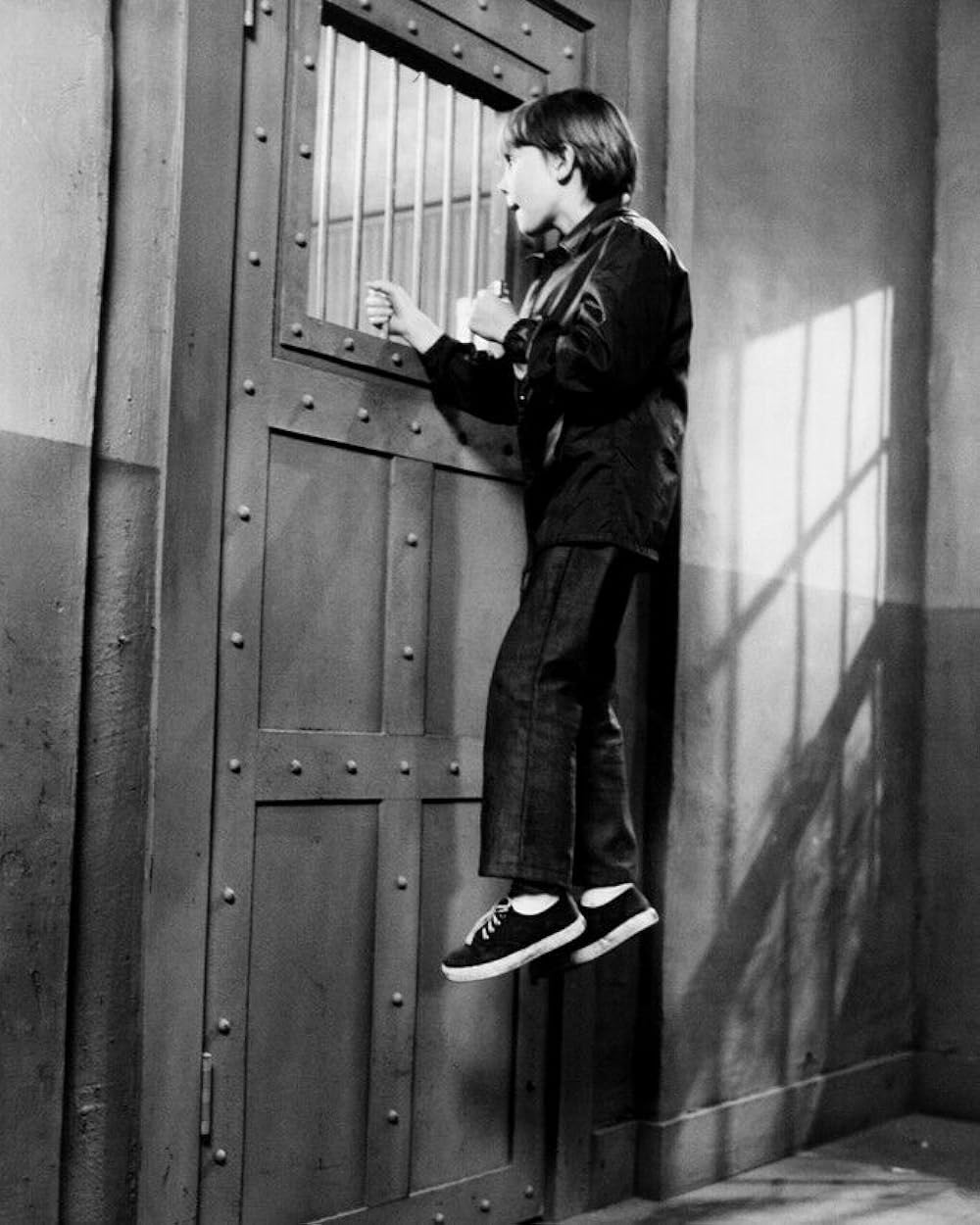 星の国から来た仲間の画像