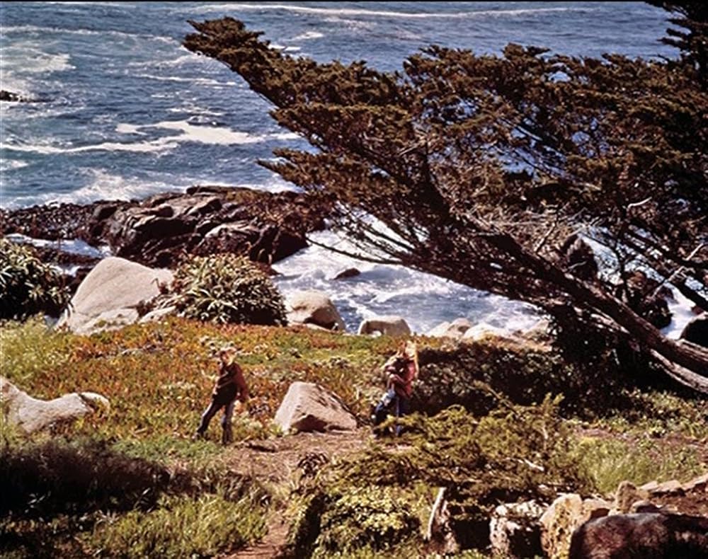 星の国から来た仲間の画像