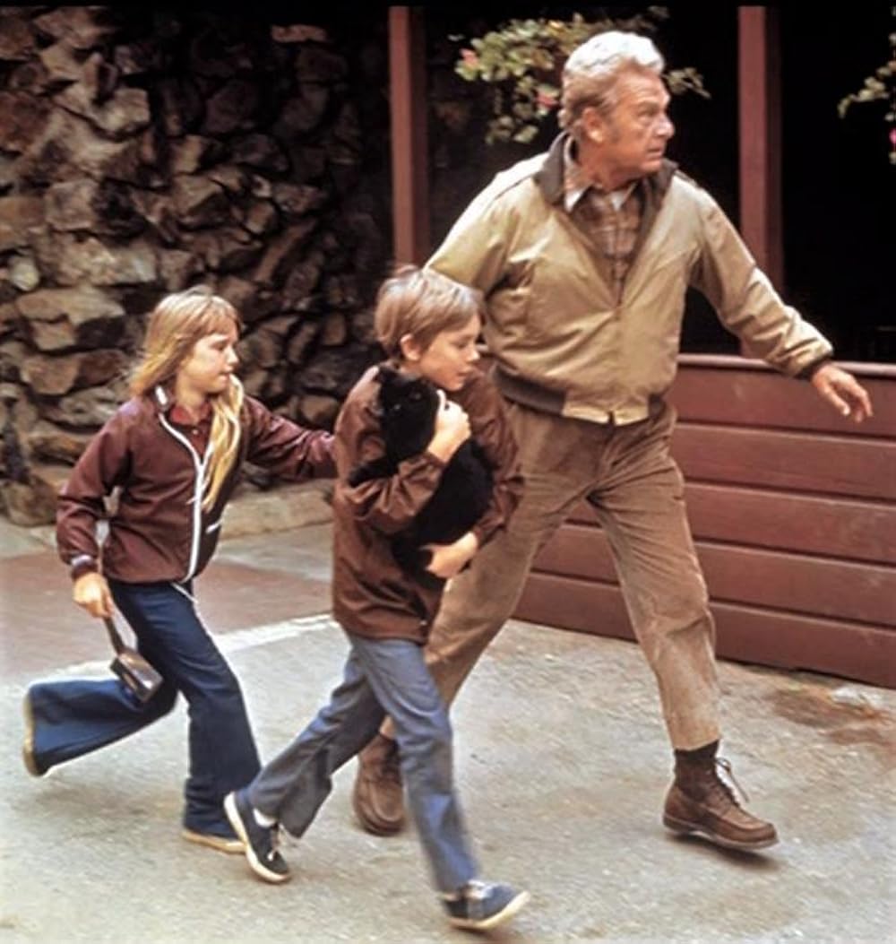 星の国から来た仲間の画像