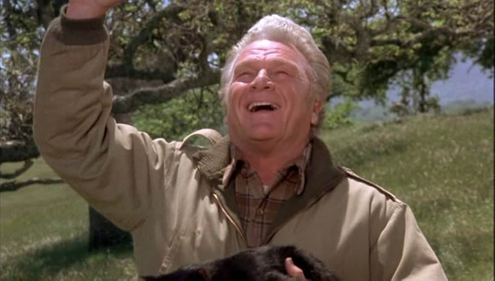 星の国から来た仲間の画像