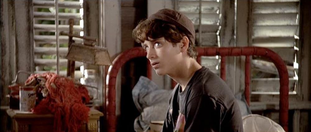 フリッパーの画像