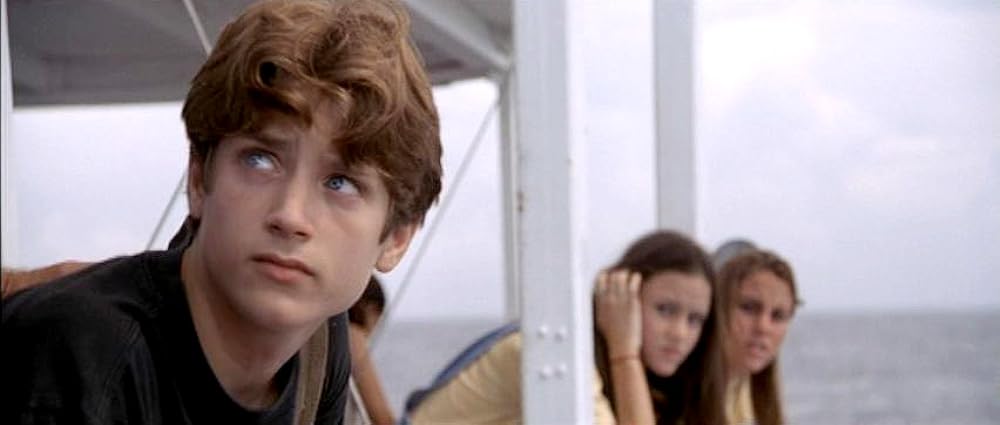 フリッパーの画像